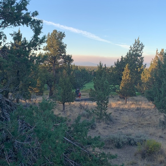 Meet your Posher, Lynsey - Picture 6 of 12